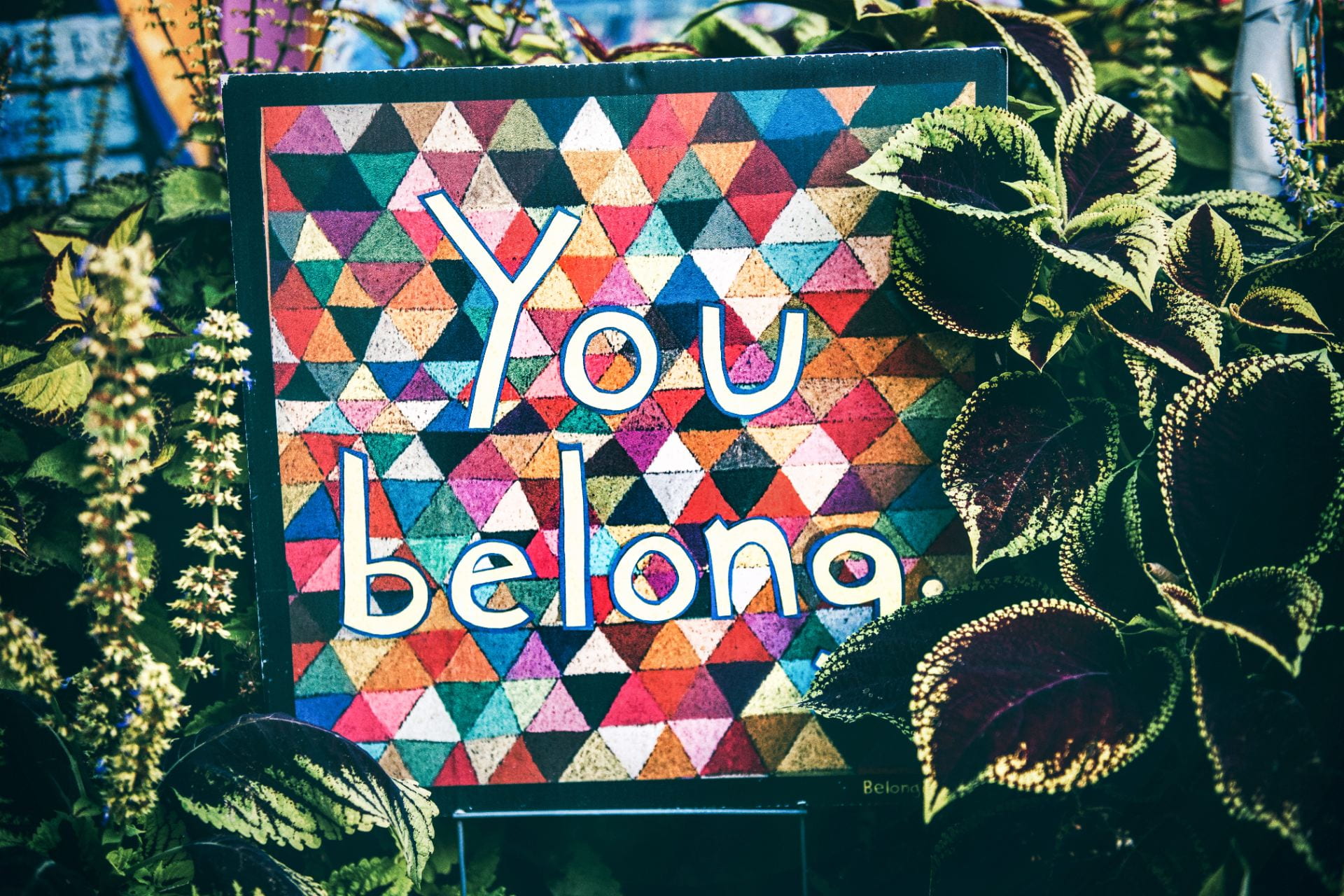 "You Belong" Sign